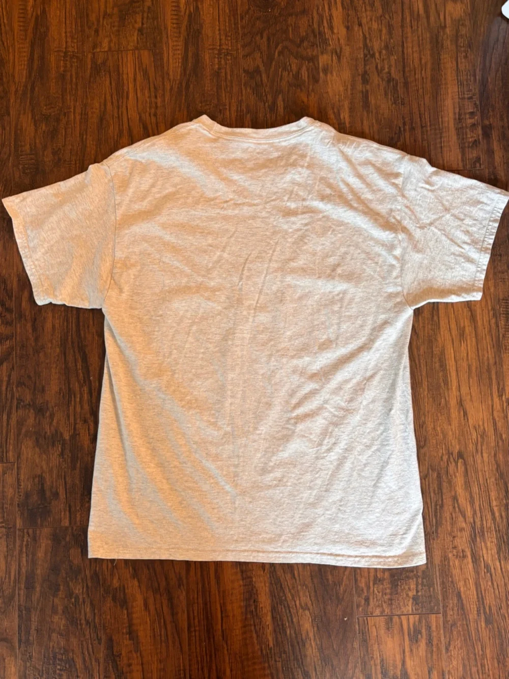 Champion Michigan State Spartans Basketball T-Shirt Men’s L Gray Retro Graphic - Picture 8 of 8